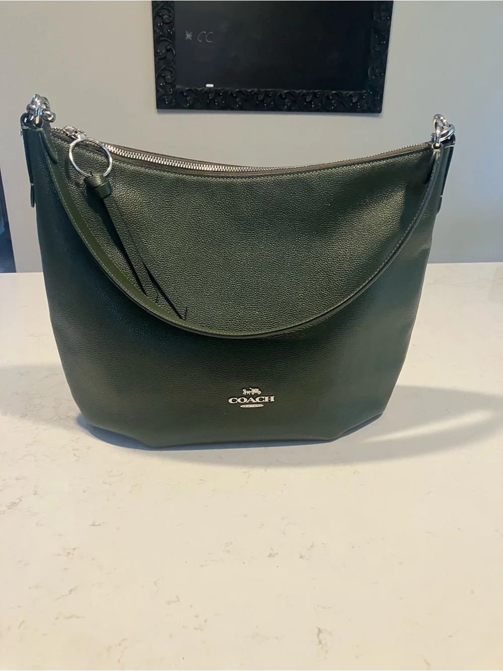 Coach Skylar Cargo Green Pebbled Leather Hobo Shoulder Bag